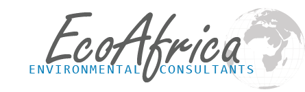 EcoAfrica logo